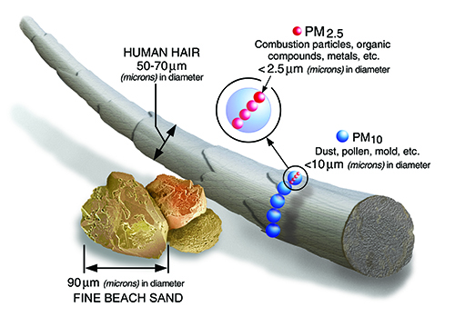 PM25